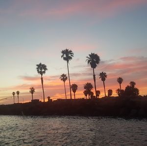 Meet your Posher, Dan